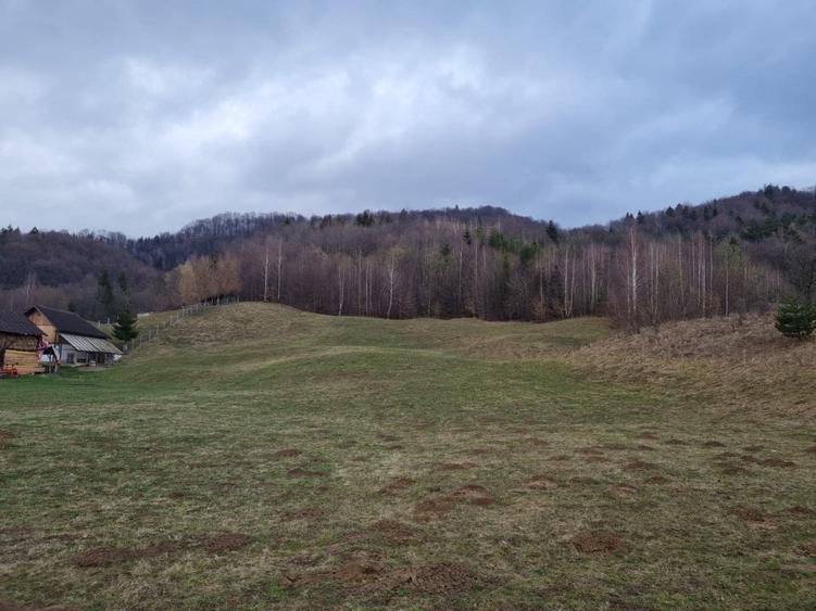 Teren - zonă turistică Râșnov, Glăjărie - 6