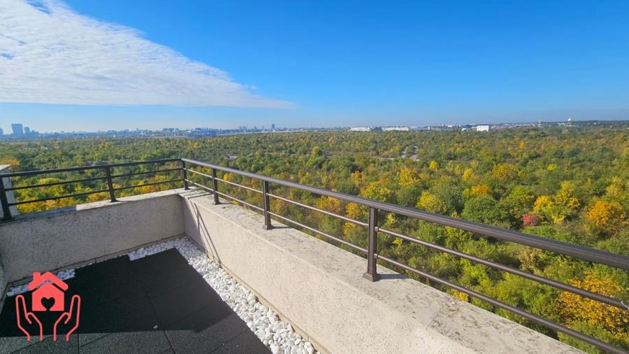 IANCU NICOLAE (ZOO)-PENTHOUSE 250 mp utili + 250 mp terasa, 3 dormitoare! - 34