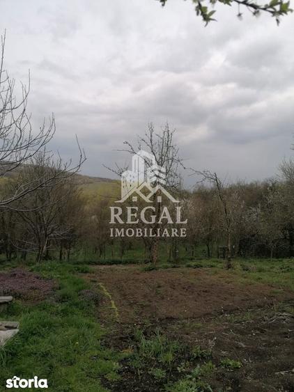 Casa de vanzare in Cerisor lini?te, natura ?i teren generos! - 4