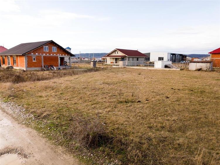 RECO Teren intravilan pentru loc de casa  hala industriala  700 mp Osorhei - 5
