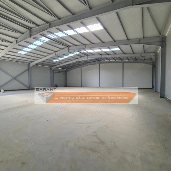 Hala Industriala, depozit, Bradu, DN 65B, S=585 mp, H=6 m - 4