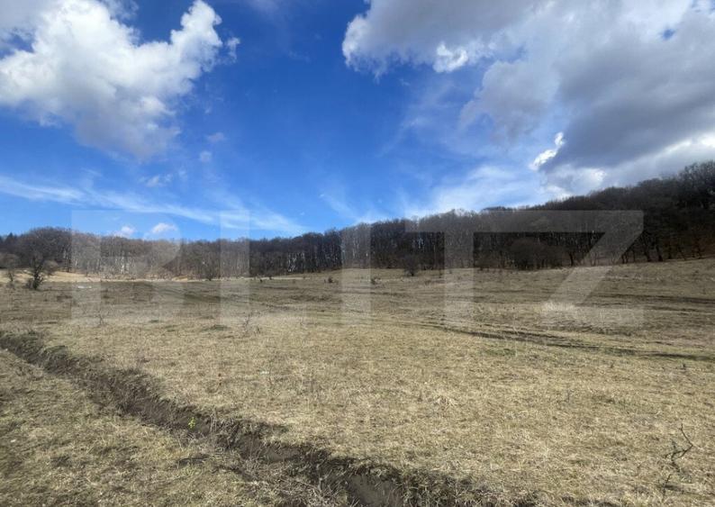Teren extravilan de vanzare, 2,4 hectare, zona drumul Tarpiu - 3