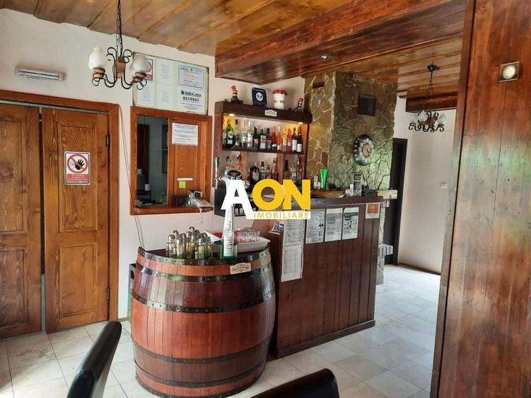 Pensiune in Muntii Apuseni 10 camere 1007 mp teren - 7