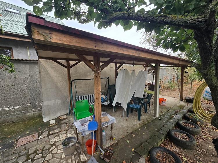 Magurele/Darasti-Ilfov/Vila individula cu crama,garaj,foisor,livada si solar - 20