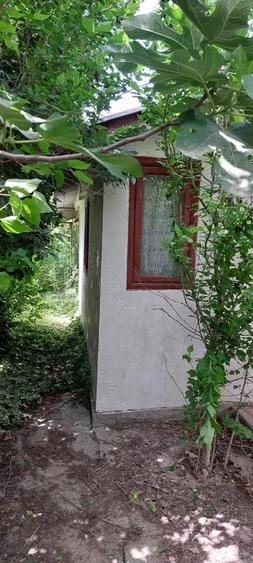 Casa si teren Murighiol - 5