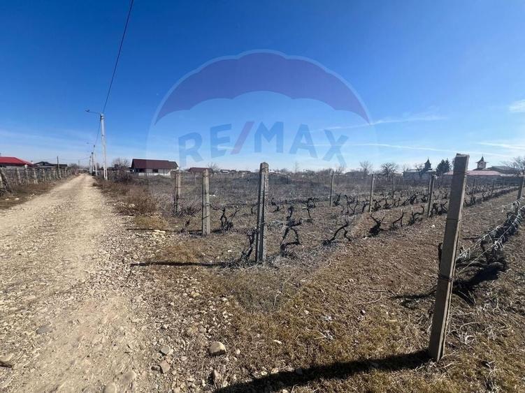Teren intravilan Unirea Odobesti / Strada Grozesti - 7