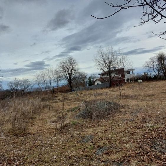 Teren 3431 mp, Faget! - 1