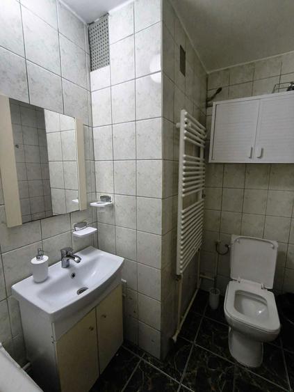 Proprietar, inchiriez garsoniera cu contract Anaf _ zona Sineasca - 8
