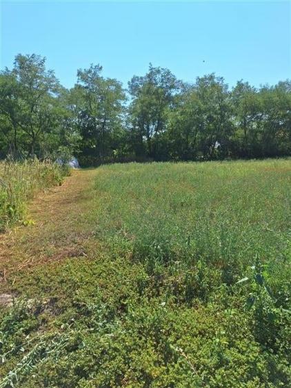 TEREN INTRAVILAM DE VANZARE IN BORZESTI - ONESTI - 4