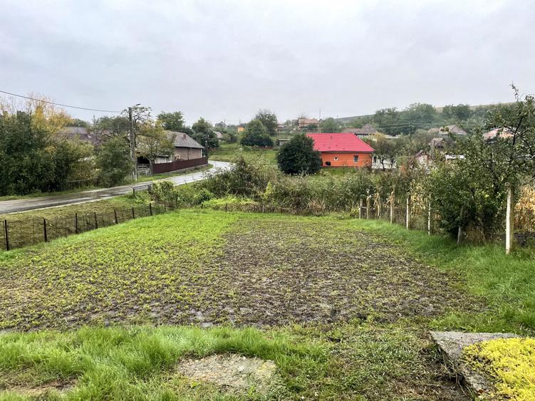 Casa 3 cam, centrala, garaj si pivnita Balda, Mures - Teren: 674 mp - 6