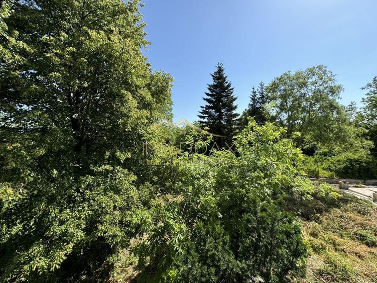 Vila cu 13 camere *4000mp teren* / Piscina / Snagov - 59