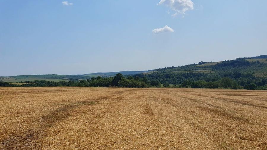 De vanzare teren in comuna Bogda judetul Timis !!! - 6