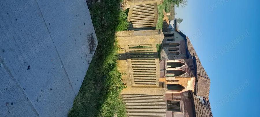 Teren +casa batrineasca com Babiciu Olt - 1