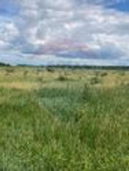 DE VANZARE Teren intravilan 600mp Drumul Piscul Mosului SISESTI - 22