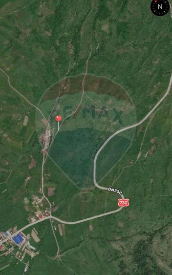 Teren extravilan ieftin 13,500 mp Berevoesti, Arges - 3