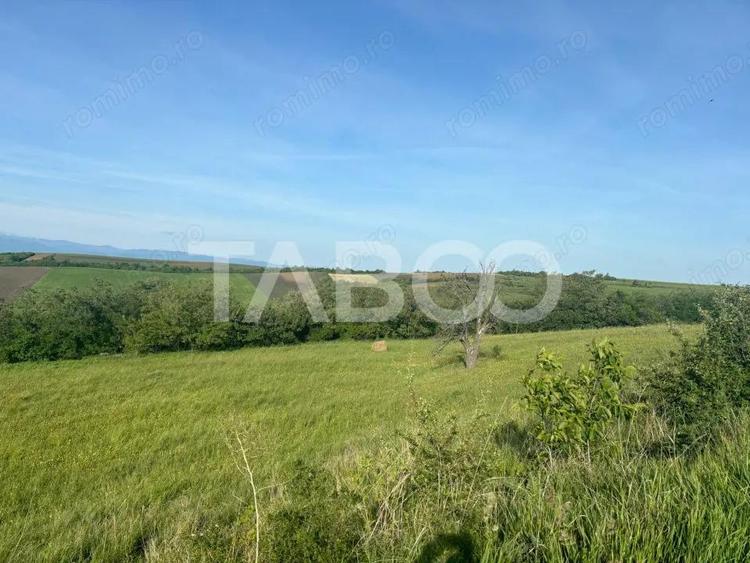 Teren de vanzare intravilan 8900mp Sura Mare zona deosebita - 5