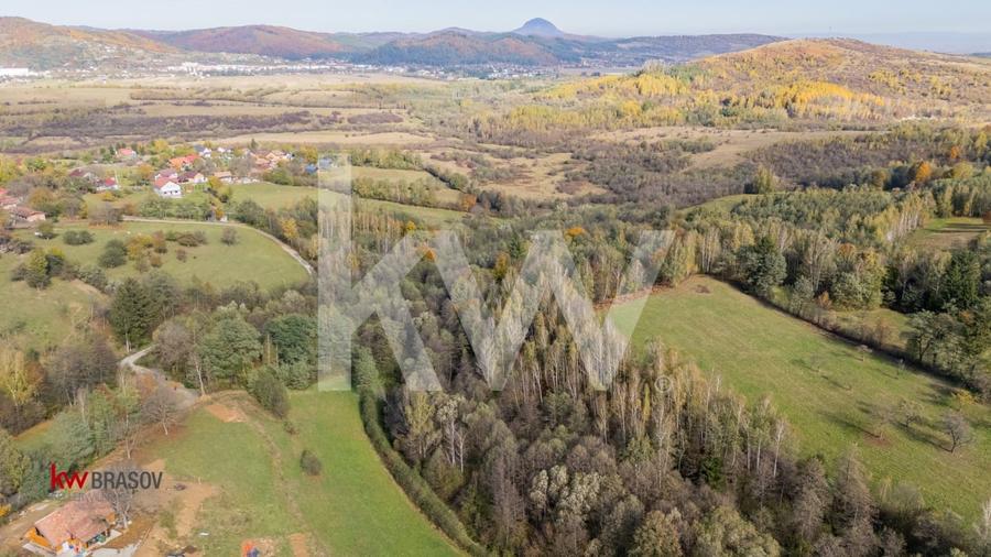 Vanzare teren intravilan 37723 mp Zarnesti Tohanita - 6