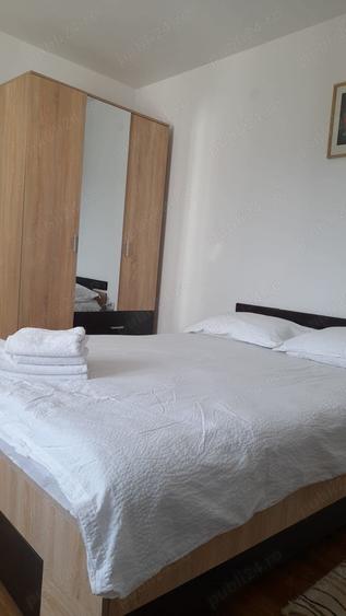 Vila+ teren de 2,2ha la 5 km de Vatra Dornei - 7