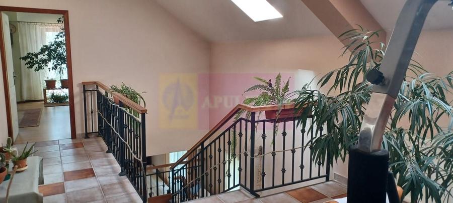 Joița, vilă 5 camere 187 mp utili + garaj, terasă, pivniță, curte 578 - 8