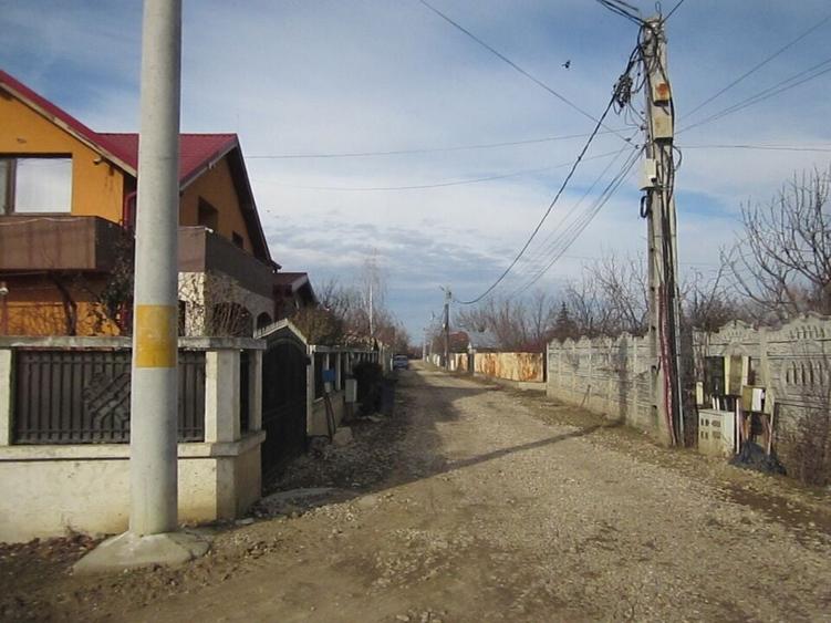 Domnesti-Teghes-Padure - 6