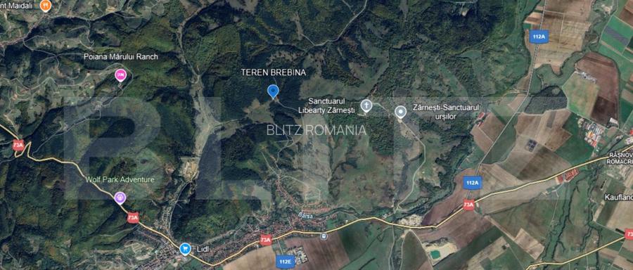 2 Terenuri in Zarne?ti Zona Brebina ; Investi?ie cu