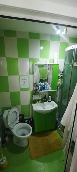 Vânzare proprietate deosebită în satul Găgeni, comuna Păulești, județul Prahova - 29