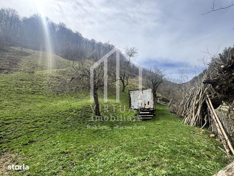 Teren intravilan + faneata, ideal pentru investitie - Rau Sadului - 6