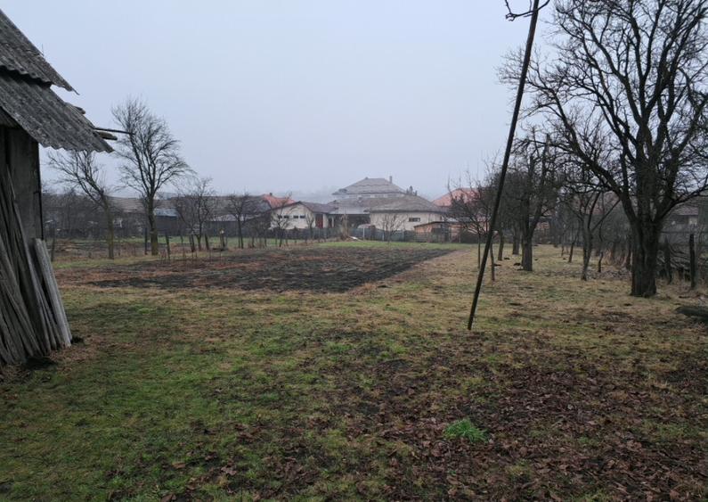 Casa de vanzare in Ibanesti - 3