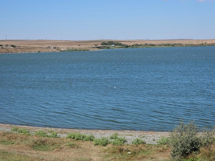 Teren Extravilan 10000 Mp Sibioara Constanta - 16