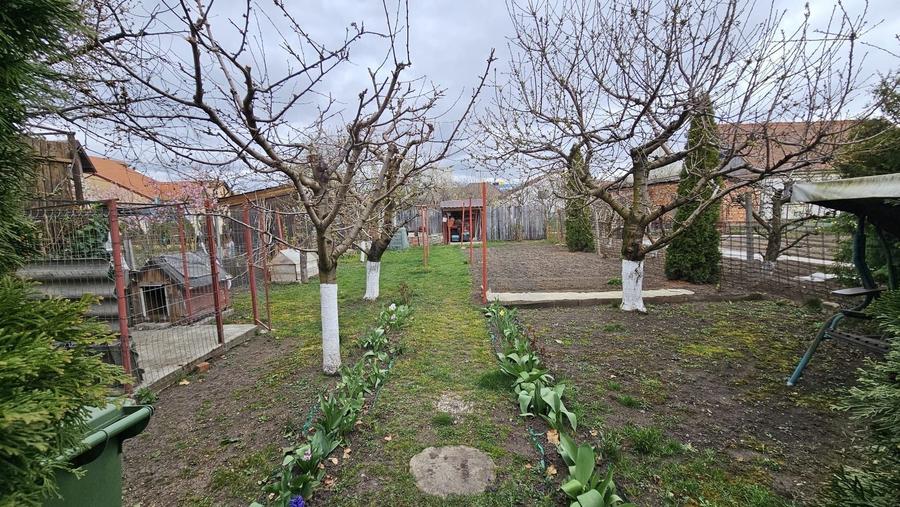 Casa 5 camere 3 bai garaj inchis si teren 700 mp utili in Lazaret - 21