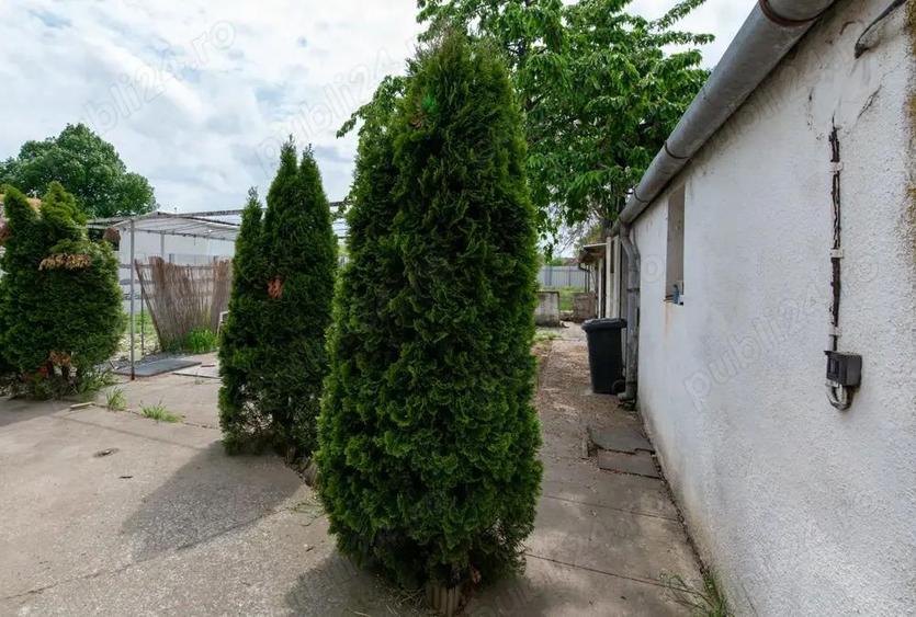 Proprietar! Vind Casa tip 'Vila'in JIMBOLIA! - 8