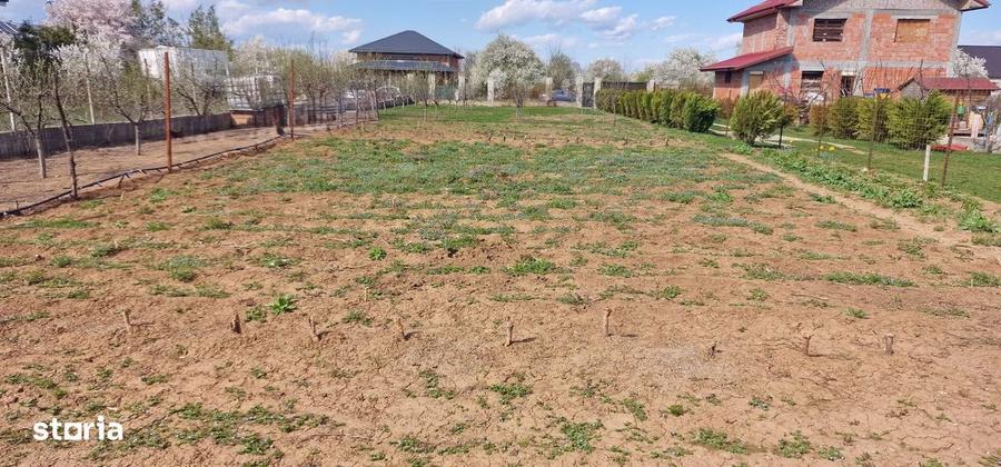 0%comision - Teren Tancabesti ingradit - 4