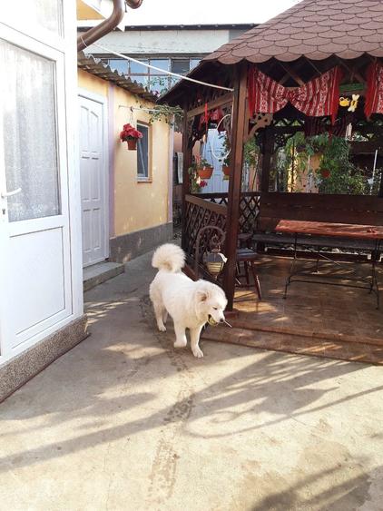 Casă cu 4 camere cu Teren 466 Mp în Central