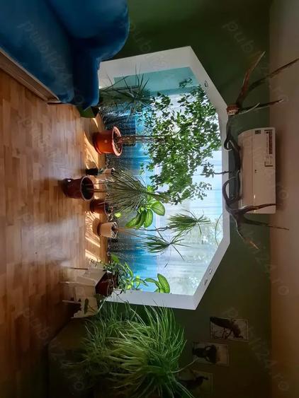 Vand apartament in Timi?oara str Nagy Eugen nr 10 - 3