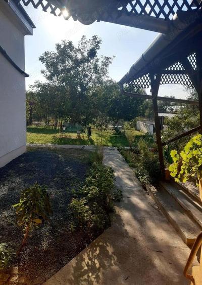 Casa Beregsau Mic caramida strada principala ,teren mare - 7