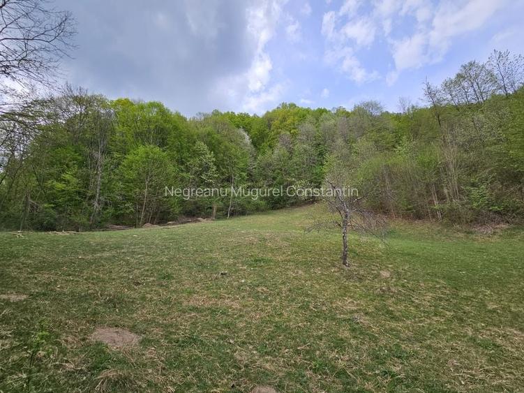 Teren intravilan 1454 mp la marginea padurii zona locuita de case! Teren intravilan 1454 mp la marginea padurii zona locuita de case!