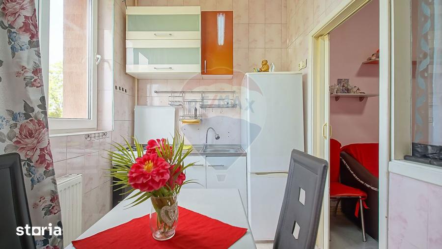 Apartament cu 1 camere de inchiriat in zona Triaj - 8