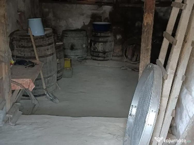 Casa batraneasca - 11