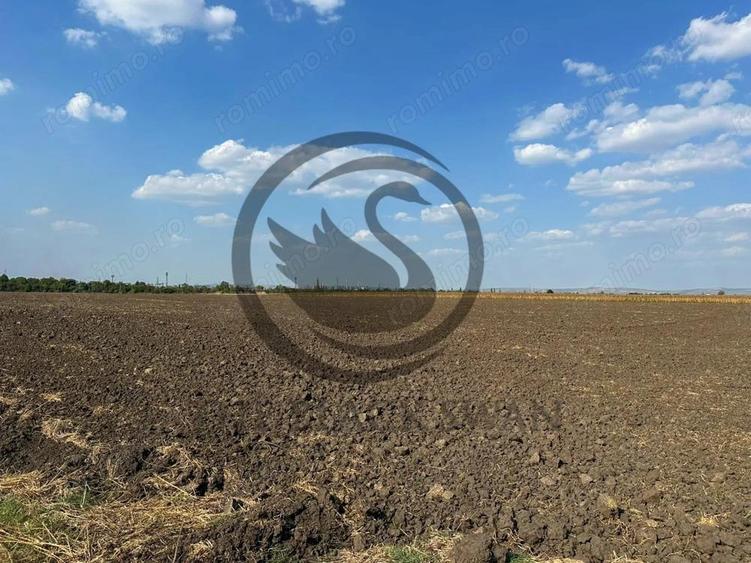 Teren extravilan de vanzare | 9882mp | Berceni - Prahova | Comision 0% - 10