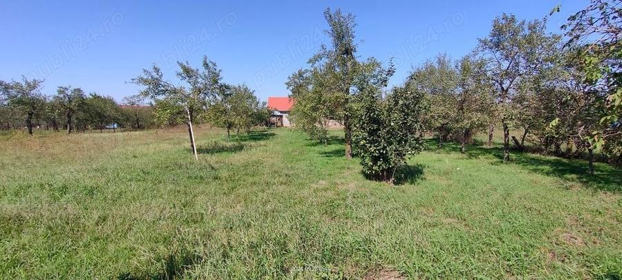 Casa Alios de vanzare - 5