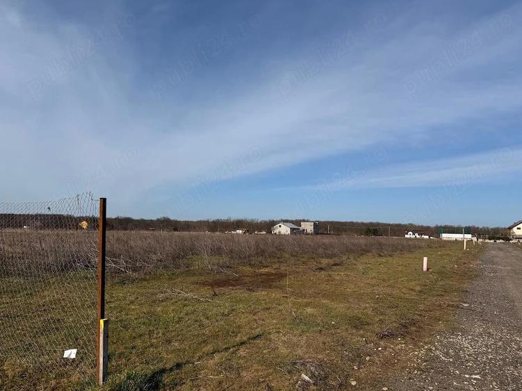 TEREN 450 MP , Brane?ti, Strada Violetelor - 1