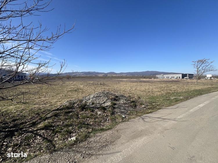 Teren Comercial Industrial - 1