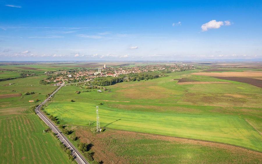 Teren de 104000 mp in Vinga - 6