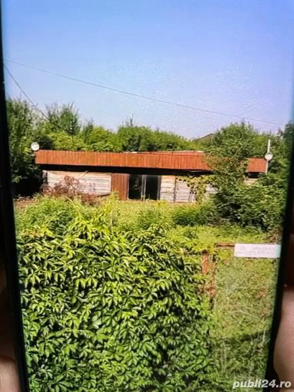 Snagov Comuna Gruiu - 1