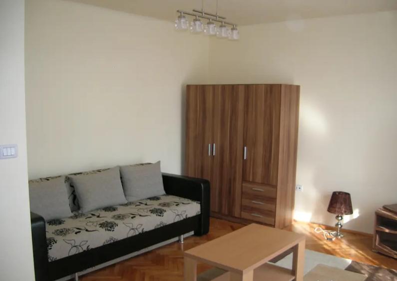 Apartament 1 camera central Podgoria - 4