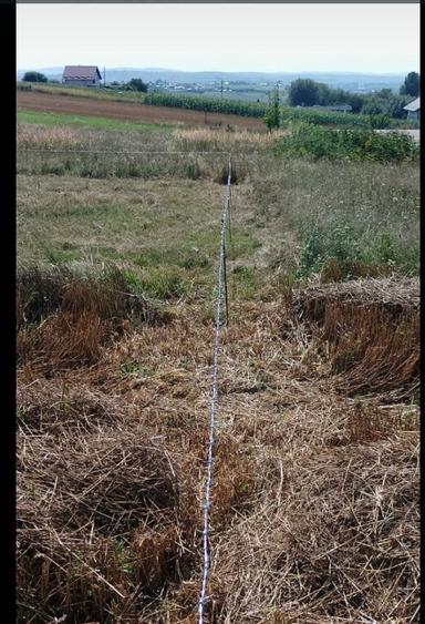 Teren 5 Ari Zona Moara - 1