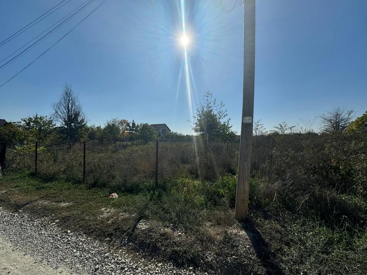 Teren Interesant Mogosoaia - 5