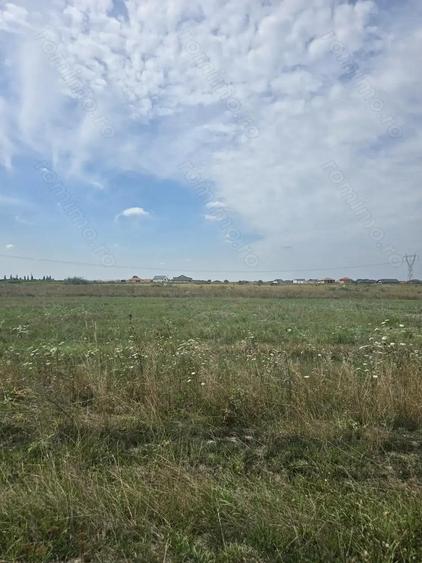 Mosnita Veche - 11 parcele - 10800 mp- CF individuale - 6