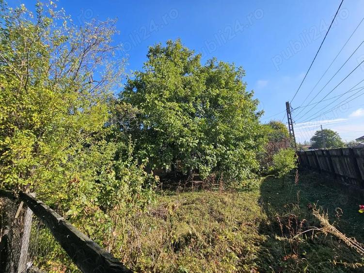Casa cu teren Conduratu la 4 km de Mizil - 2