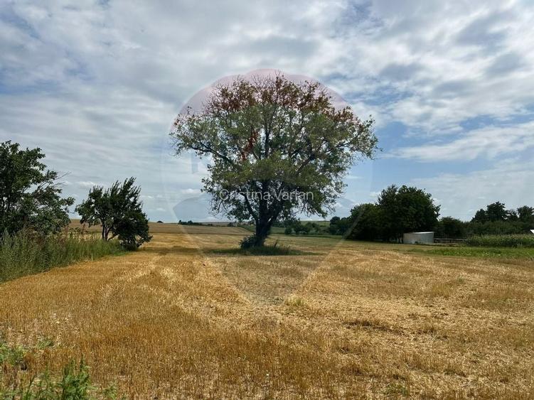 Teren intravilan 4.779 mp + casa si anexe - Girov, Neamt